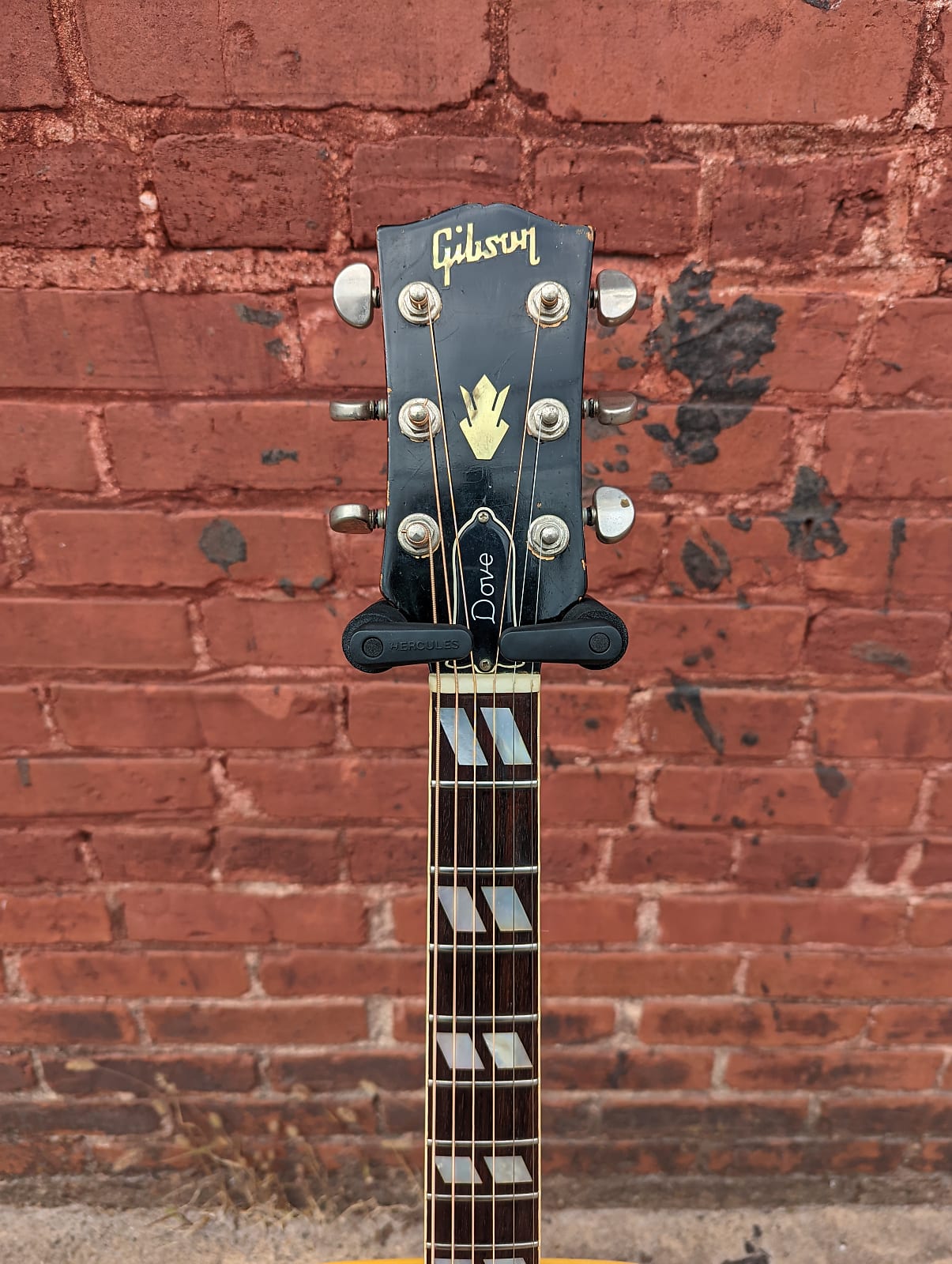 Gibson Dove Natural 1965